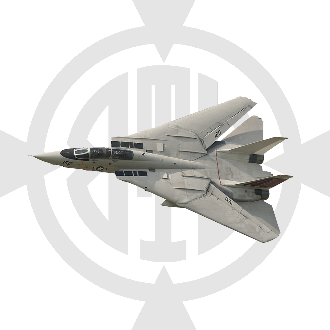 F-14 TOMCAT