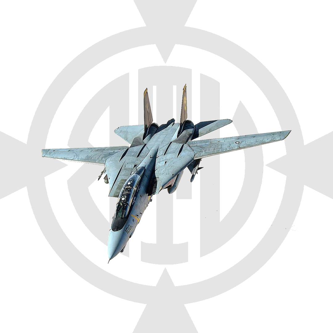 F-14 TOMCAT