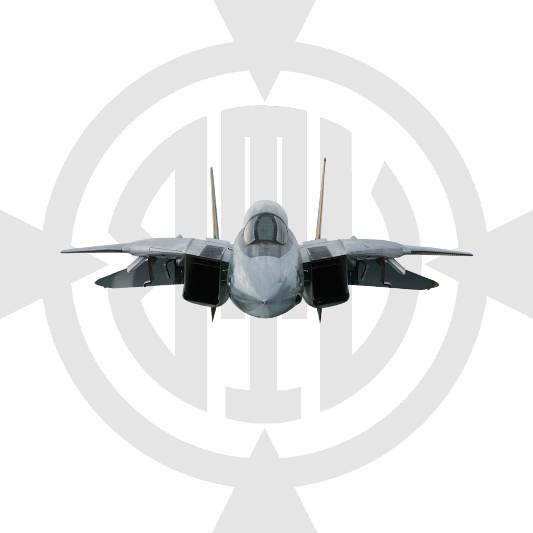 F-14 TOMCAT
