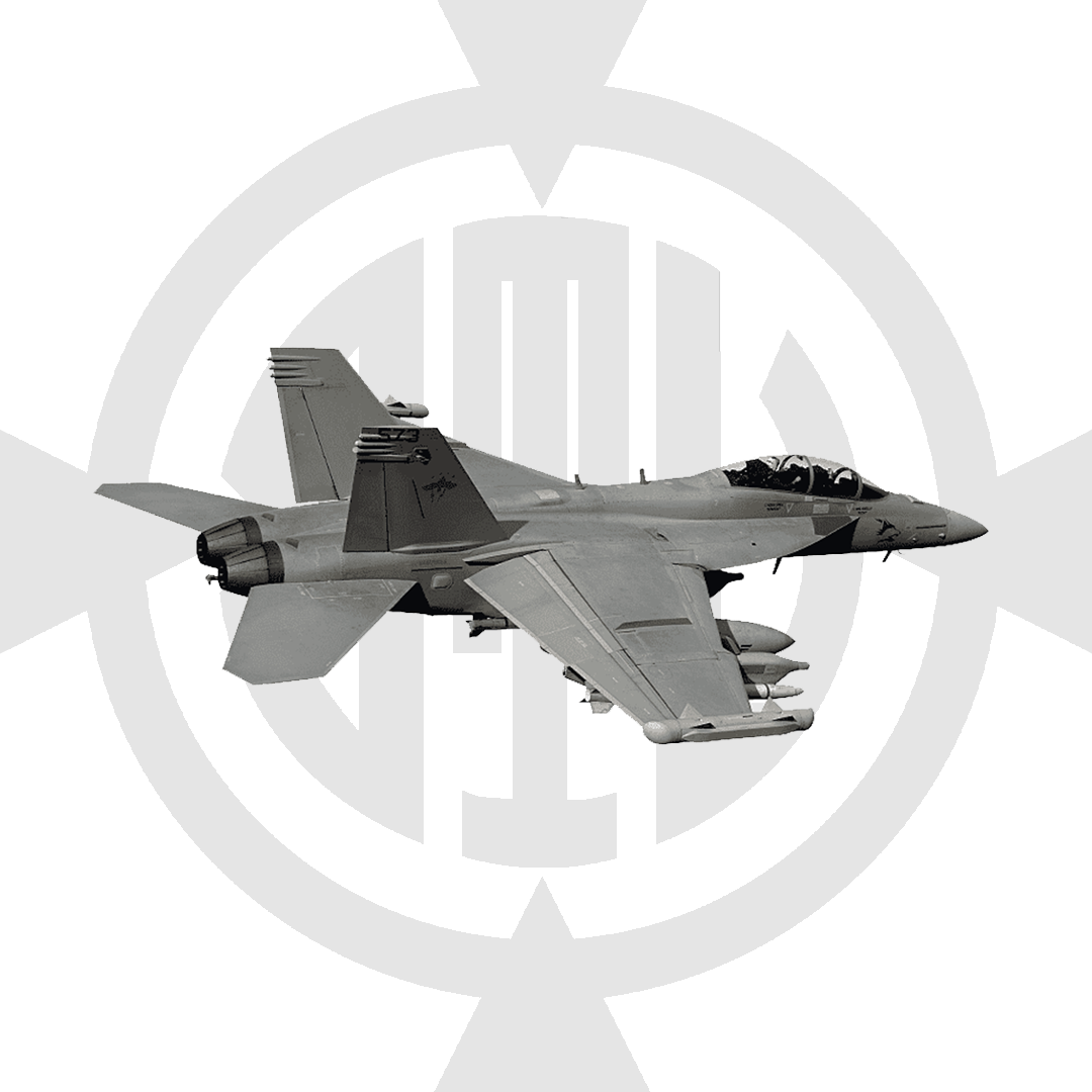 F-18 HORNET